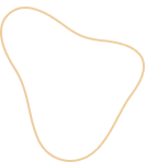 Cortinas y persianas CDMX diseño experto | ALTACASA